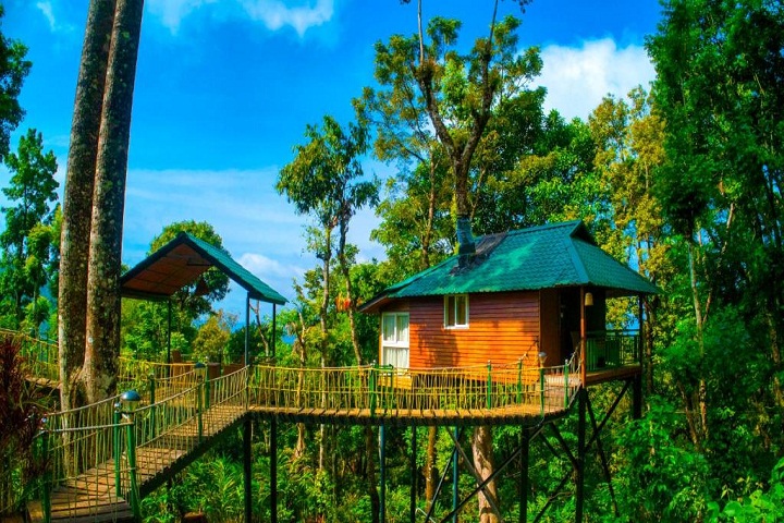 Munnar@Globalduniya