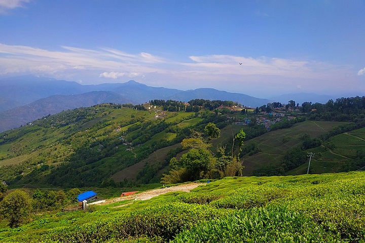 Darjeeling@Globalduniya